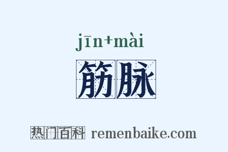 筋脉是什么意思的图片
